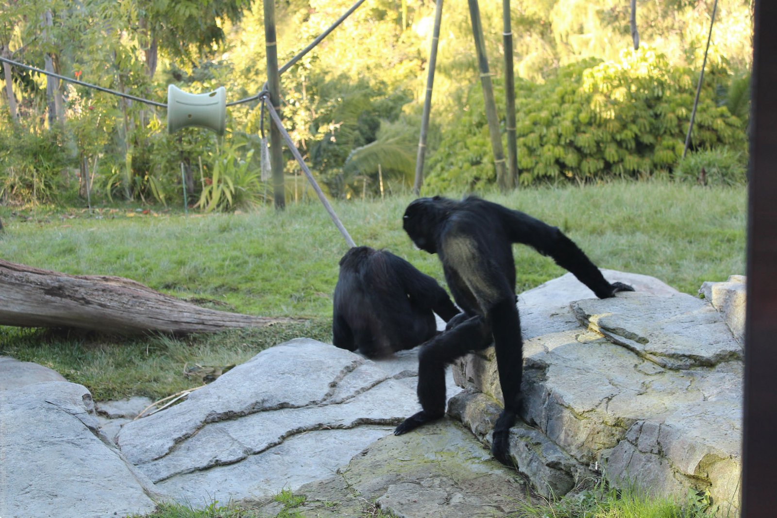 San Diego Zoo Part II 151